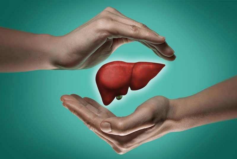 Liver Care With Homeopathy - YourMedKart - YourMedKart