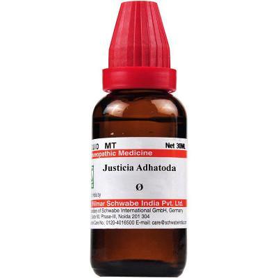 Dr Willmar Schwabe India Justicia Adh 2X Mother Tincture Q - YourMedKart