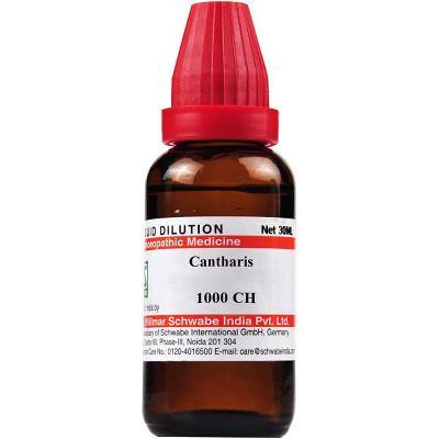 Dr Willmar Schwabe India Cantharis - YourMedKart