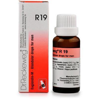 Dr. Reckeweg R19 Euglandin-M -  Glandular Drops for Men - YourMedKart