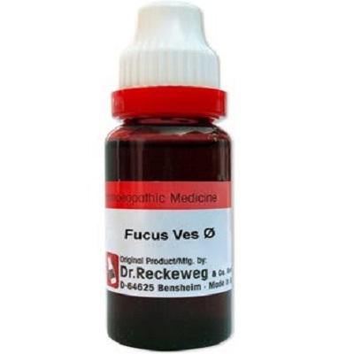 Dr. Reckeweg Fucus Vesic Mother Tincture Q - YourMedKart