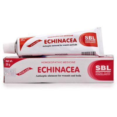 SBL Echinacea Ointment - YourMedKart