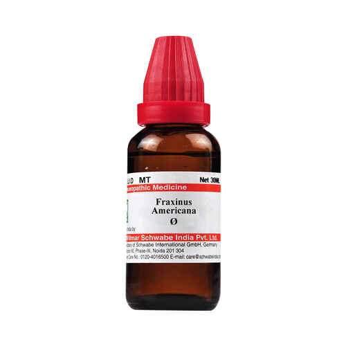 Dr Willmar Schwabe India Fraxinus Amer Mother Tincture Q - YourMedKart