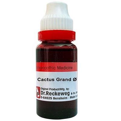 Dr. Reckeweg Cactus Grand Mother Tincture Q - YourMedKart