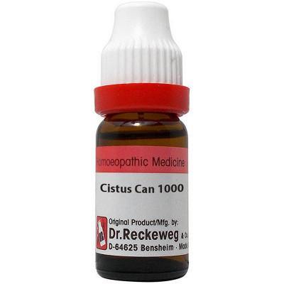 Dr. Reckeweg Cistus Can - YourMedKart