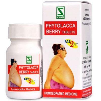 Dr Willmar Schwabe India Phytolacca Berry Tablets - YourMedKart
