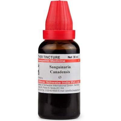 Dr Willmar Schwabe India Sanguinaria Can Mother Tincture Q - YourMedKart
