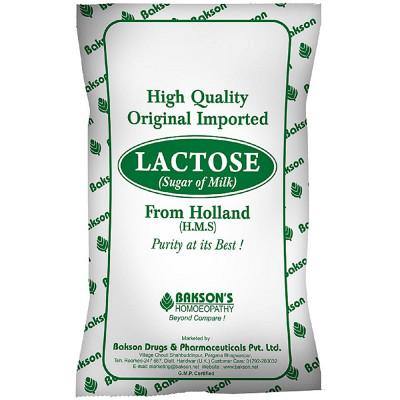 Bakson Lactose Powder (Hms) - YourMedKart