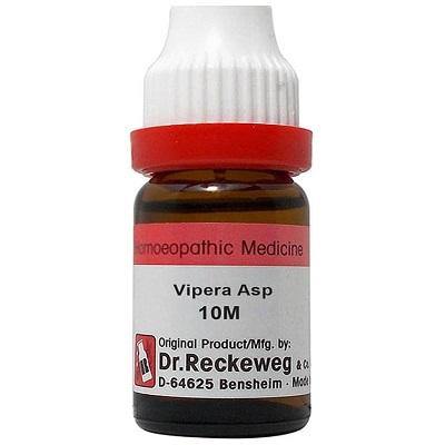 Dr. Reckeweg Vipera Asp - YourMedKart